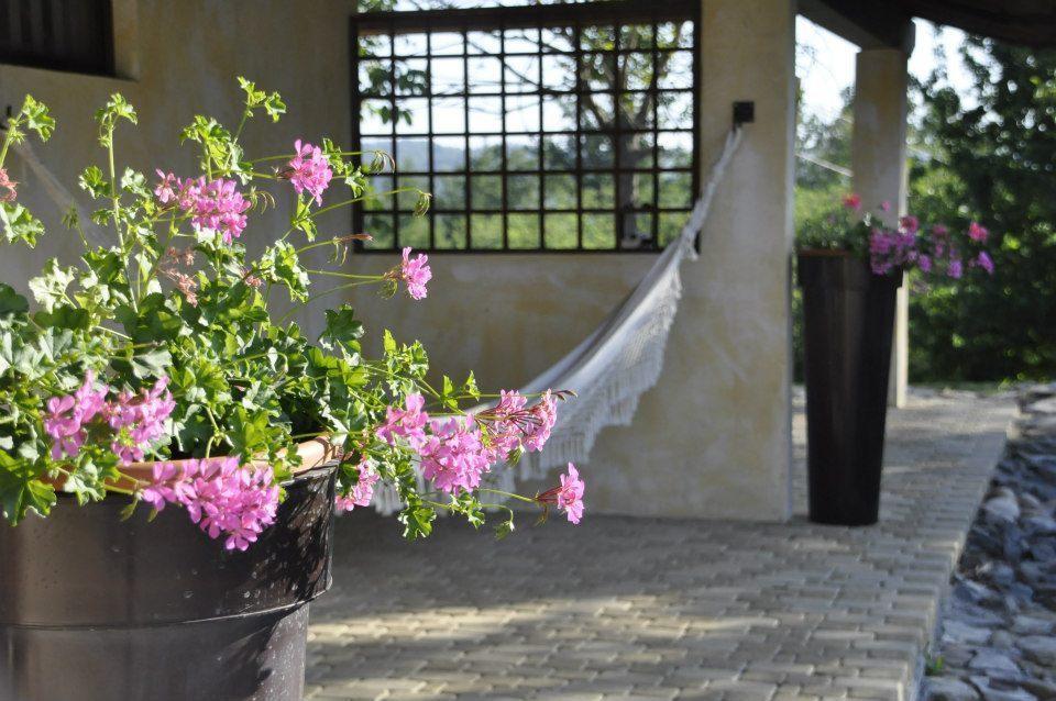 Premiata Osteria Dei Fiori Cortiglione Quarto foto